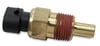 CTS, Coolant / Water Temperature Sensor, Brass, Natural, Pro-Jection, Digital, 3/8" in. NPT, 2 pin GT 150, -40°F to 275°f Range, -40°C to 135°C, Holley Sniper EFI